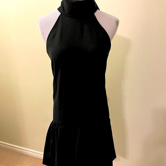 Beautiful Milly drop waist Katelyn dress - Picture 4 of 14